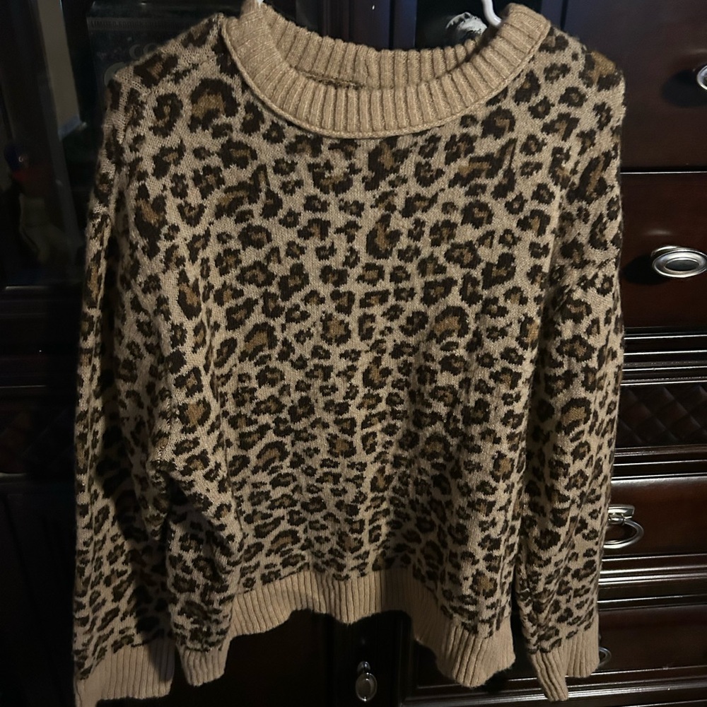 American Eagle Outfitters Leopard Print Sweater (only worn once)